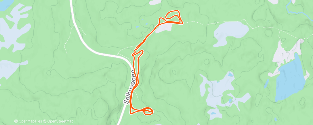 Map of the activity, Afternoon Nordic Ski