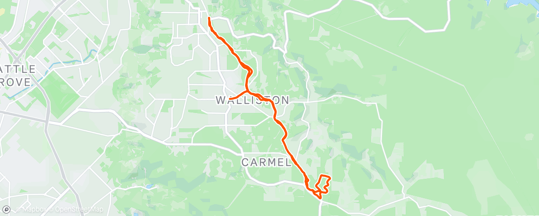 Map of the activity, Afternoon Locals