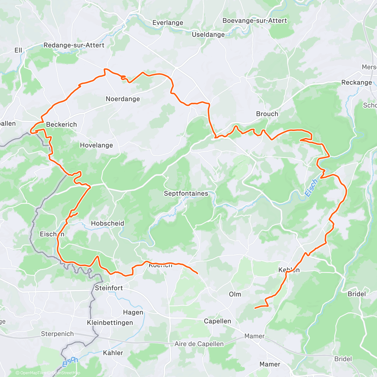 Map of the activity, Morning Ride