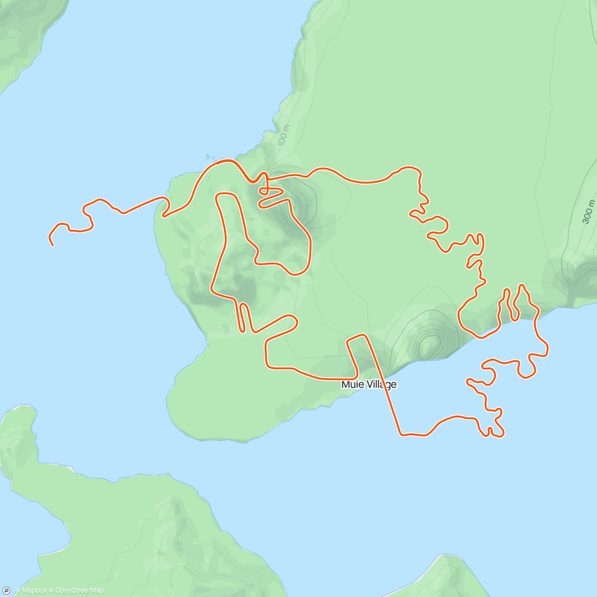 Map of the activity, Zwift - Tempo #1 in Watopia