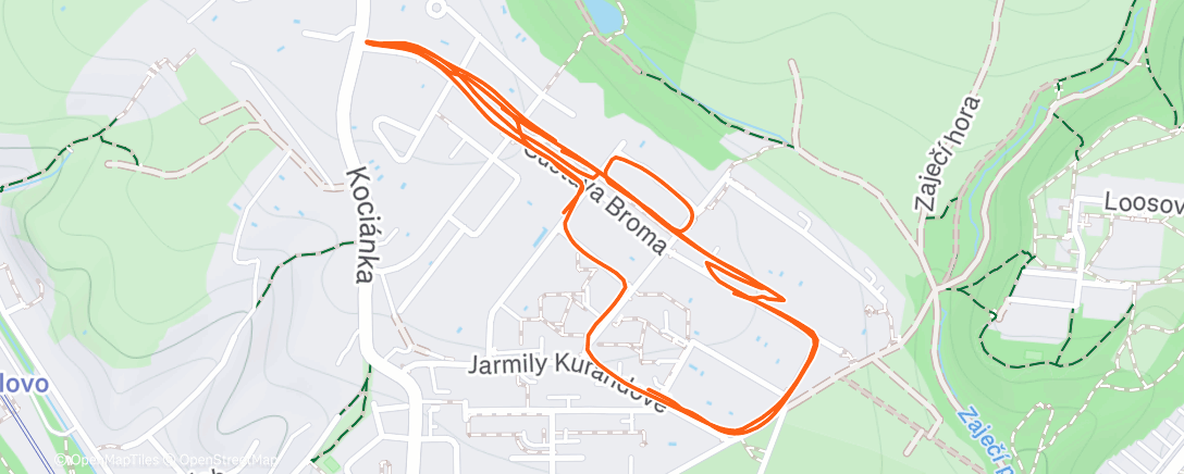 Map of the activity, Evening Run