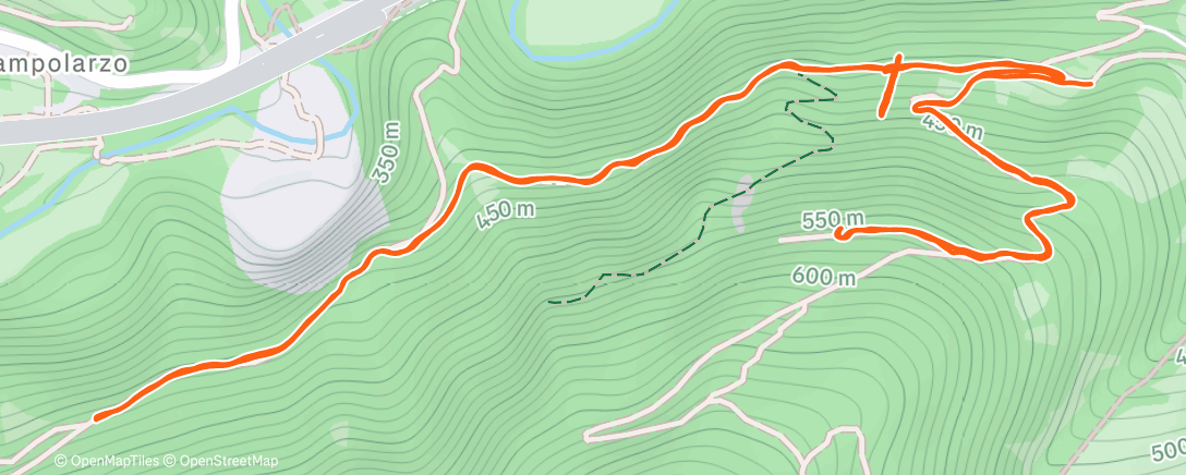 Карта физической активности (Afternoon Trail Run)