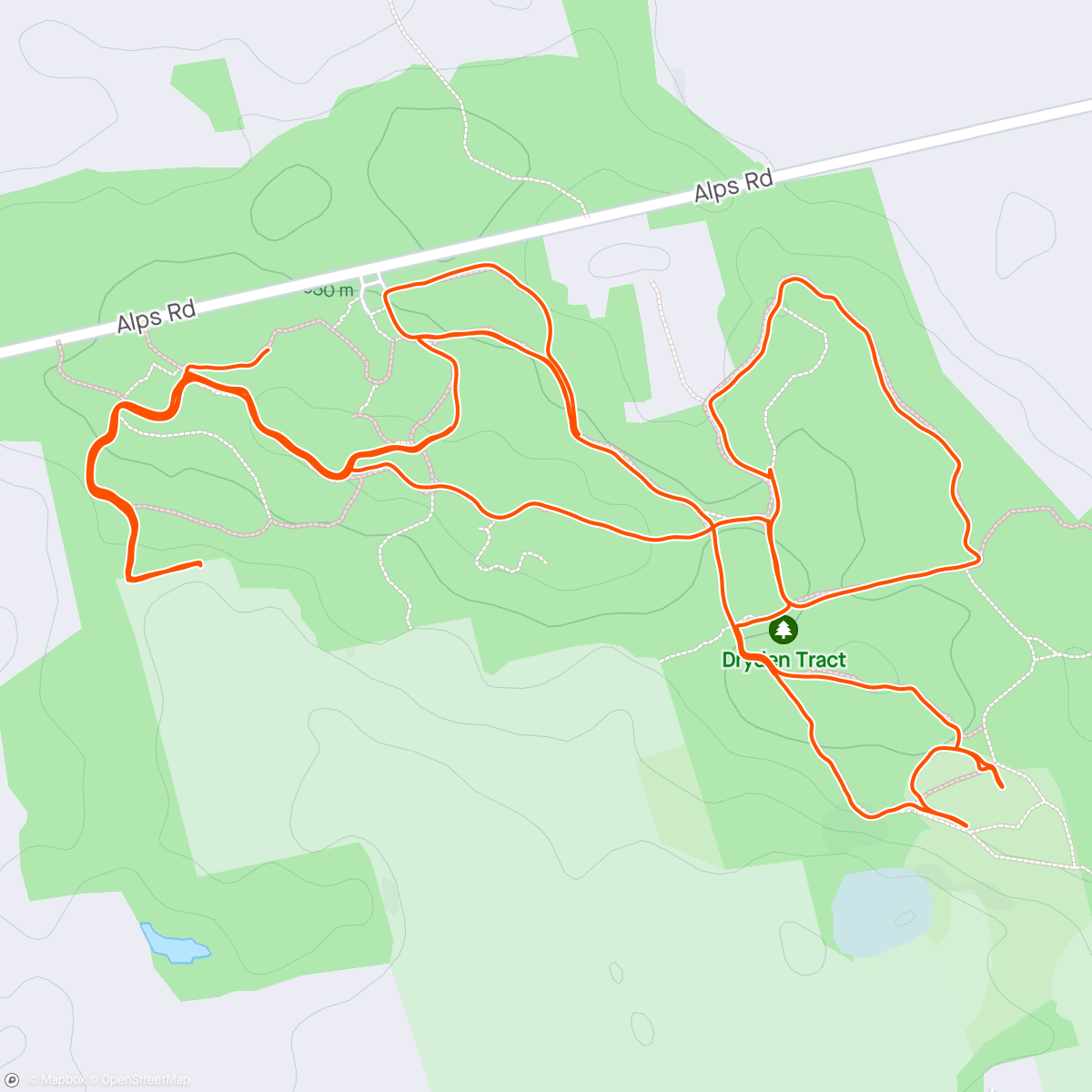Map of the activity, Dryden tract trail fun w/Poppy