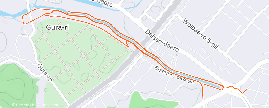 Map of the activity, Night Run