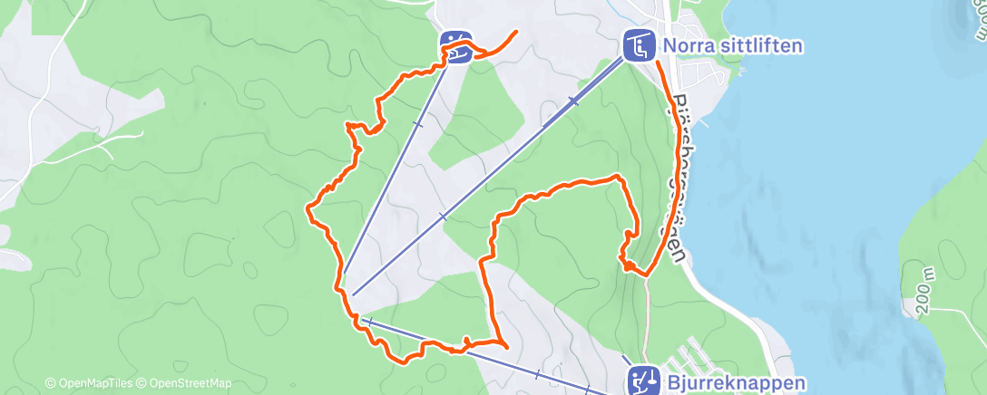 Карта физической активности (Lunch Hike)