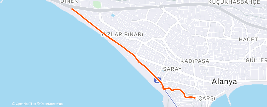 Карта физической активности (Morning Run)