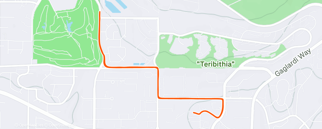 Map of the activity, NBR Wednesday 🐶