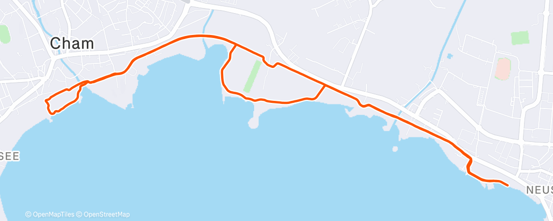 Карта физической активности (Lauf am Morgen)