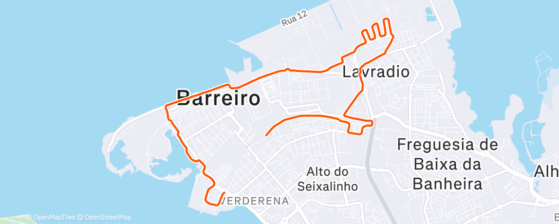 Карта физической активности (45’A3)