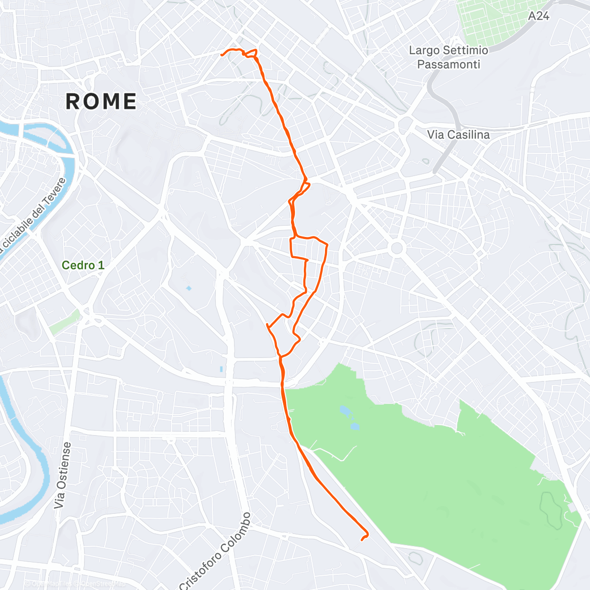 Map of the activity, Morning Walk