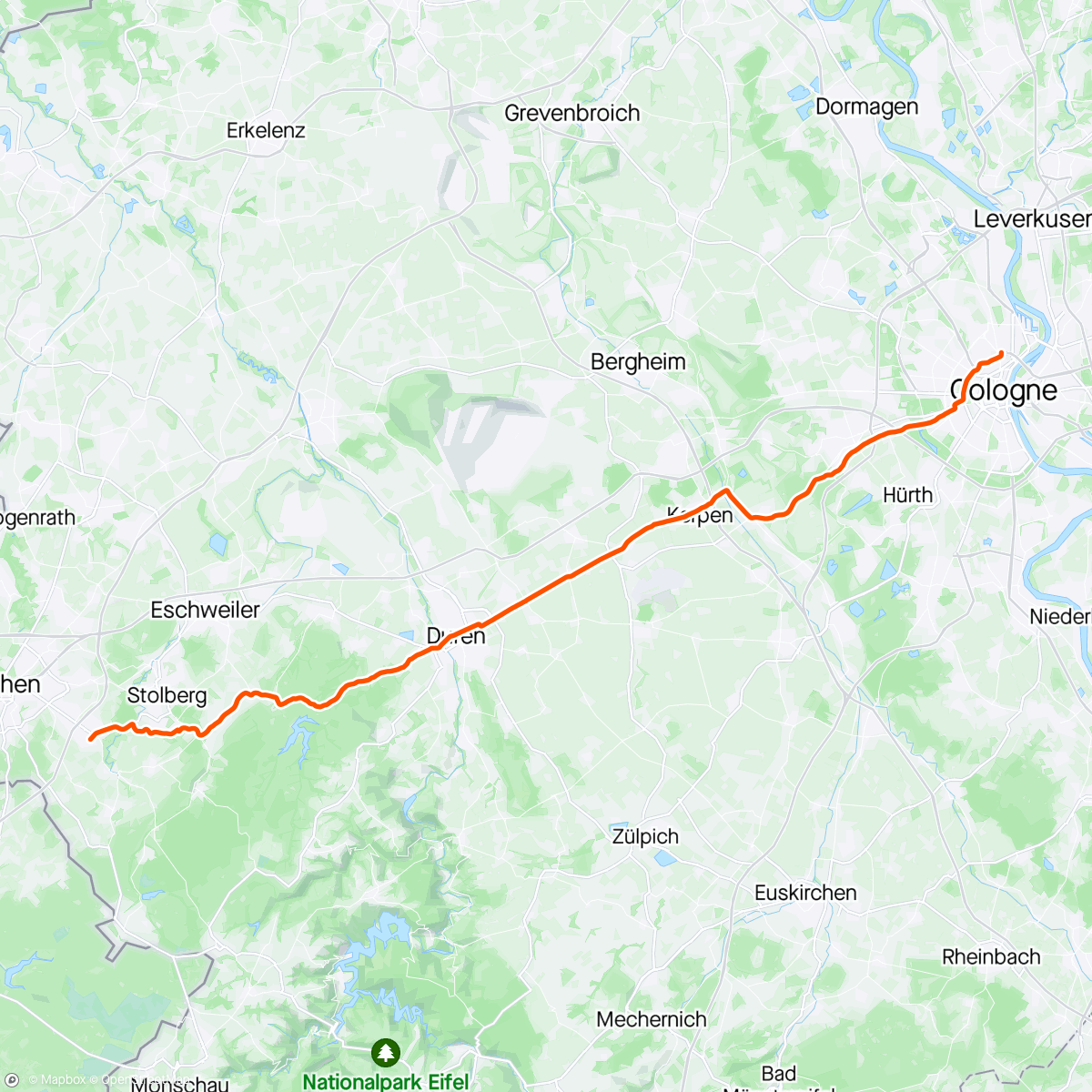 Map of the activity, Grüner wird‘s nicht.