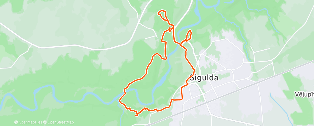 Карта физической активности (Lunch Trail Run)