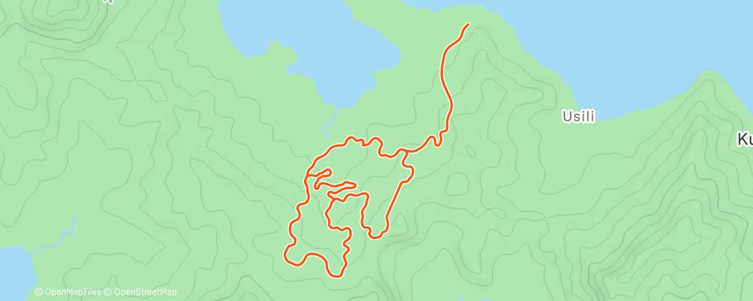 Map of the activity, Zwift - Introductory Intervals on Jungle Circuit in Watopia