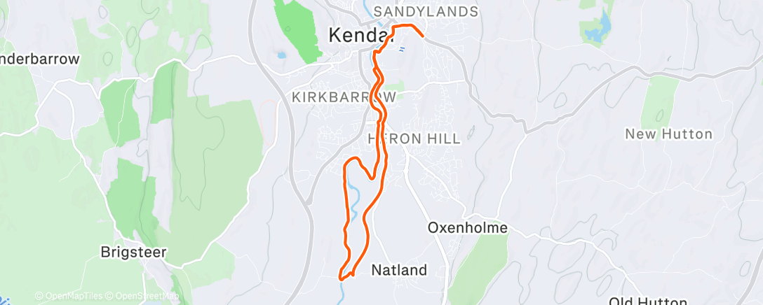 Карта физической активности (Morning Trail Run)