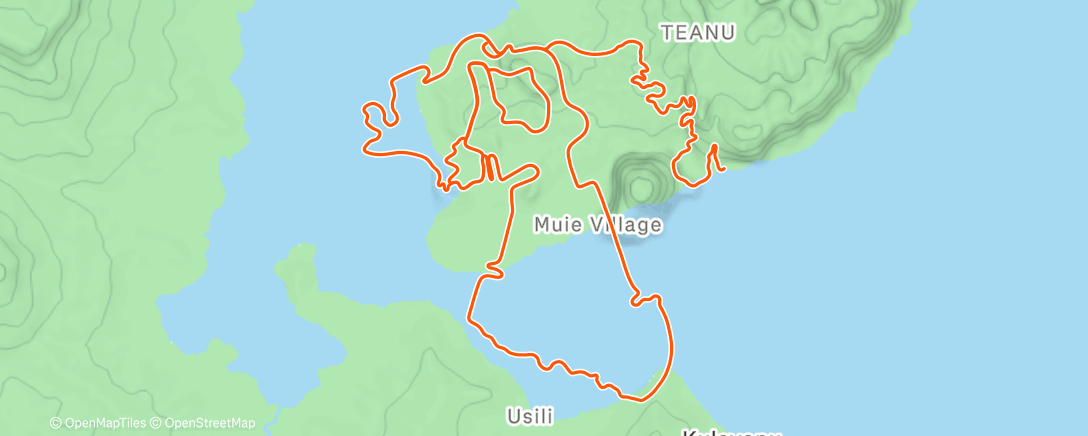 Mapa de la actividad (Zwift - Group Ride: Vive in Nisu [VIN] - Motion Monday (D) on Tair Dringfa Fechan in Watopia)
