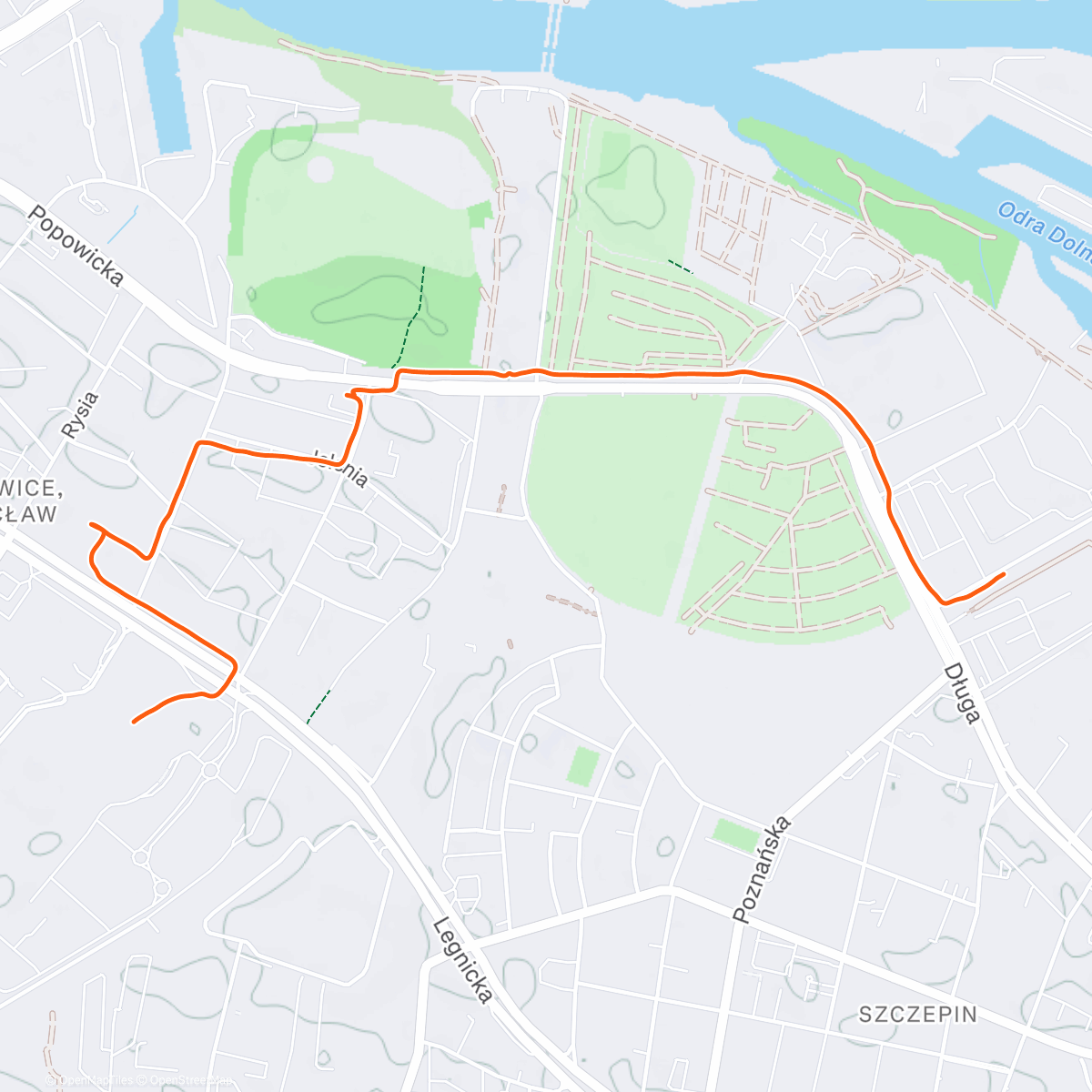 Карта физической активности (Lumpexy walk 🤠👗)