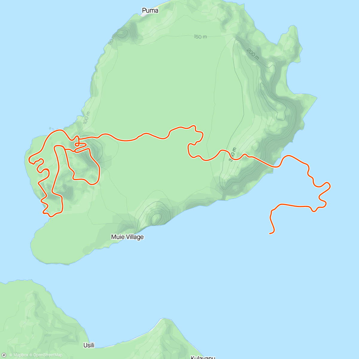 Карта физической активности (Zwift - 03. Cadence and Cruise in Watopia)