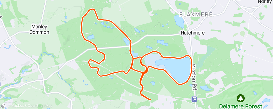 Map of the activity, Delamere parkrun 🌳☀️