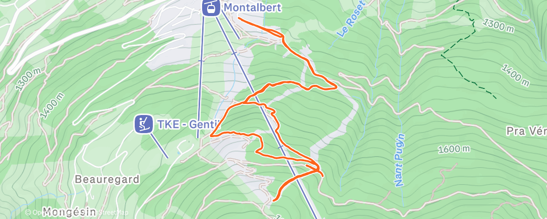 Карта физической активности (Test bâtons)