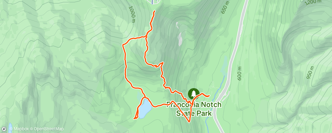 Map of the activity, Cannon Mountain