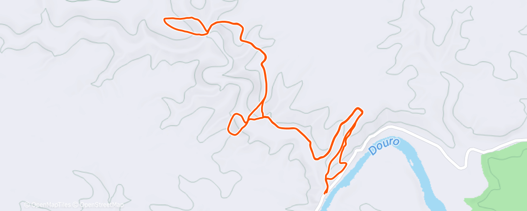 Карта физической активности (CaCo)