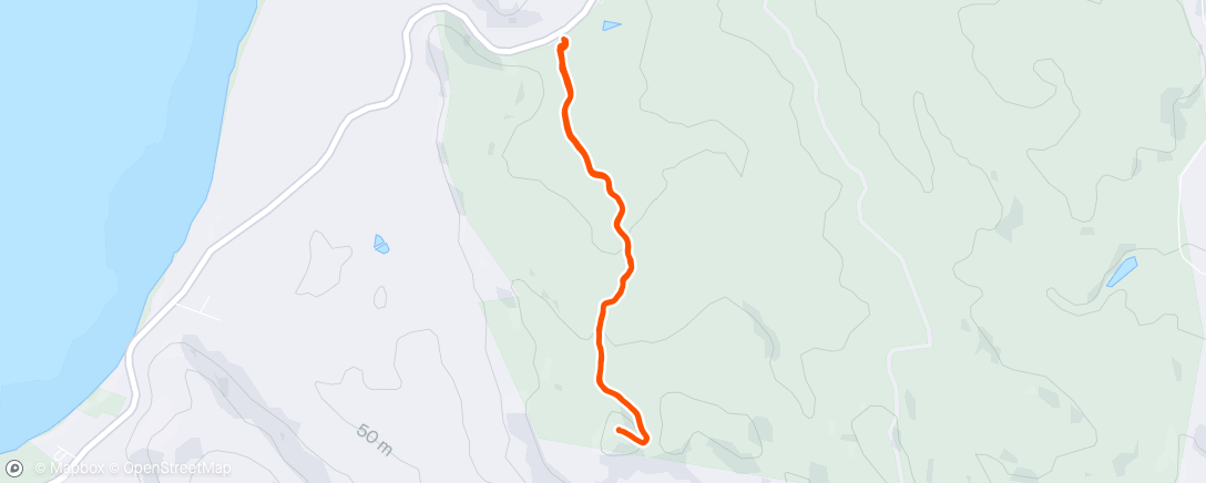 Map of the activity, Mount Bippo