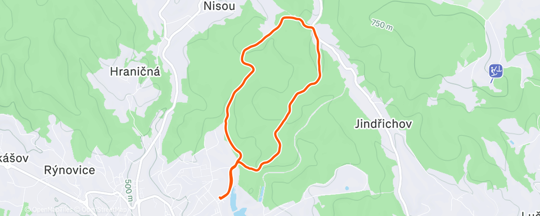 Карта физической активности (Morning Run)