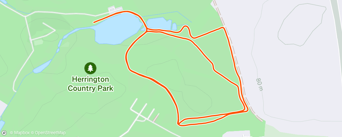 Map of the activity, Morning Run