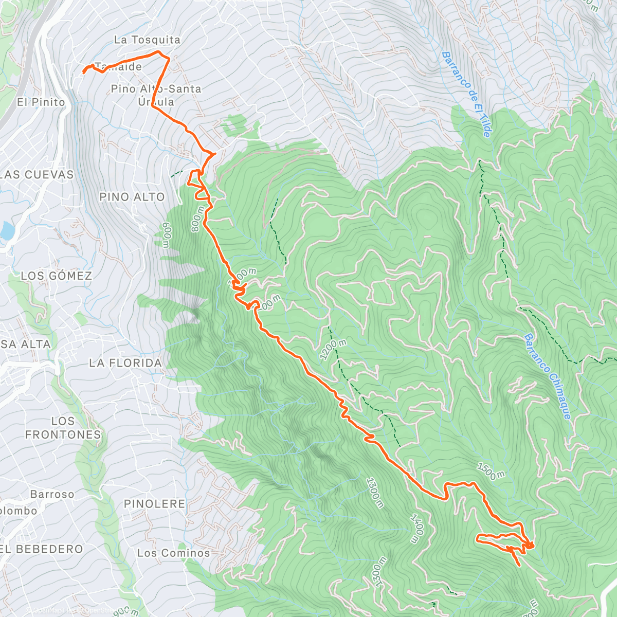 Карта физической активности (Morning Trail Run)