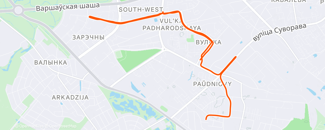 Карта физической активности (Ночной забег)