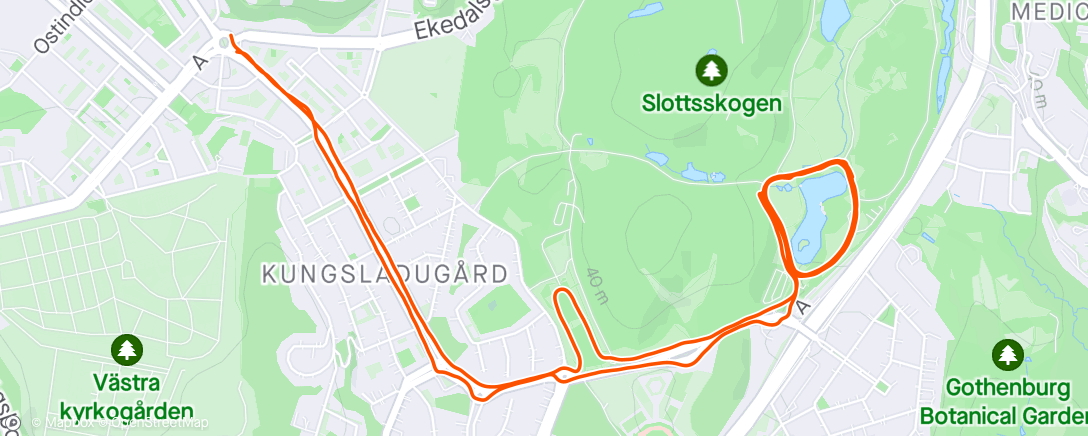 Mapa da atividade, Evening Run 10x3min