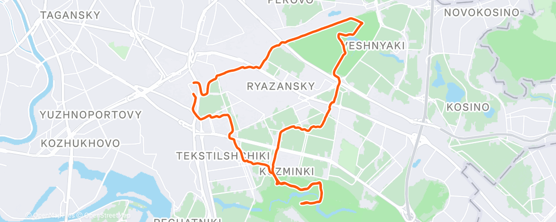 Map of the activity, Morning Run