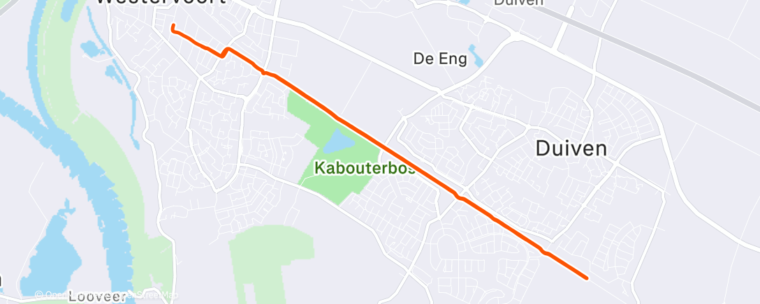 Map of the activity, Afternoon Straight Line Run