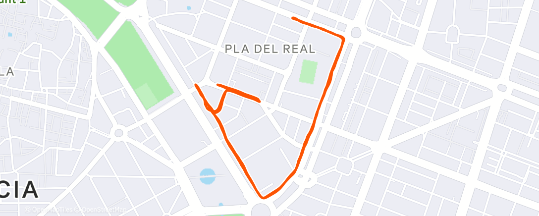 Map of the activity, Morning Run