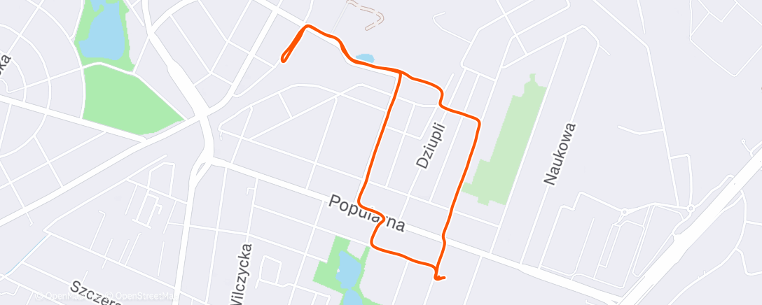 Карта физической активности (Camminata serale)