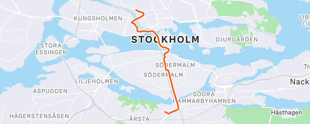 Map of the activity, Afternoon Ride