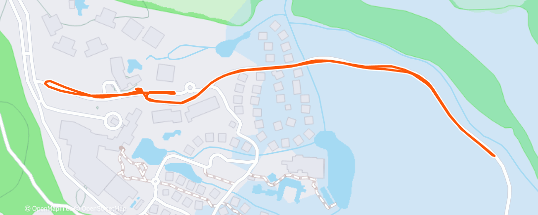 Карта физической активности (Lunch Ride)