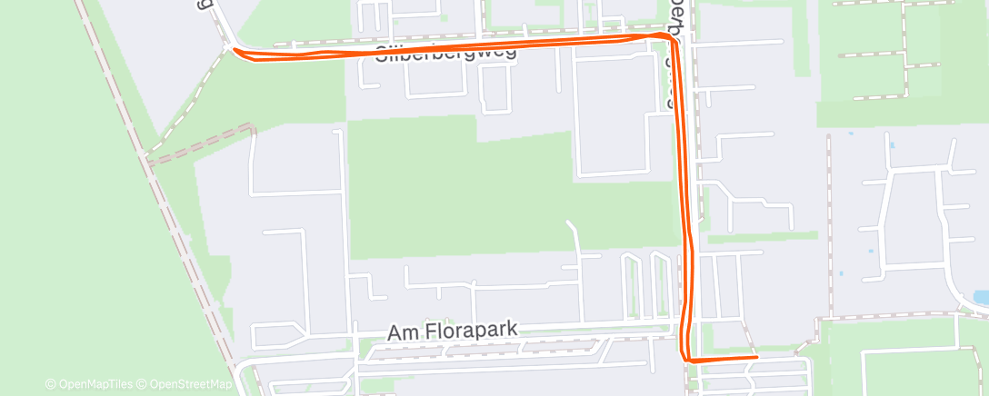 Карта физической активности (Morning Run)