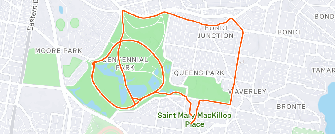 Map of the activity, Morning Run