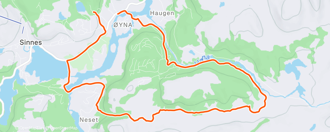 Карта физической активности (Hønedalen-Nesedalen-Nesetbrua)