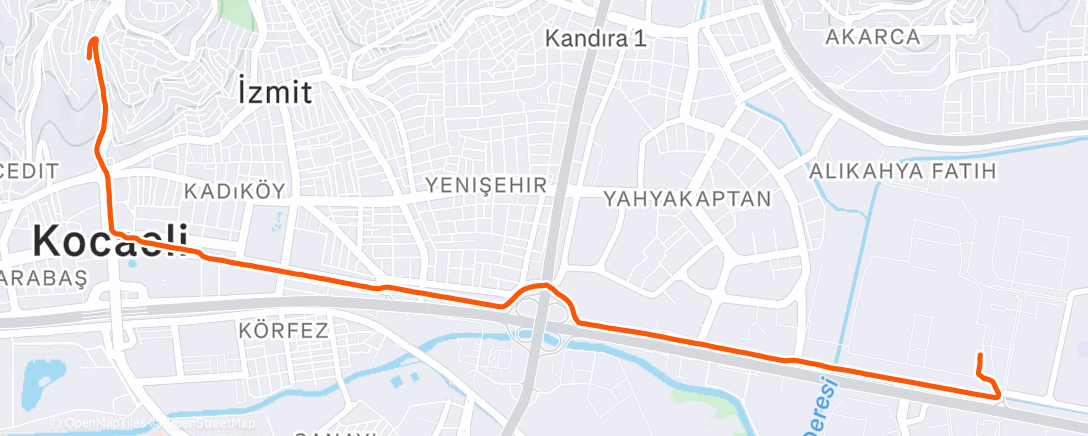 Карта физической активности (Night Run)