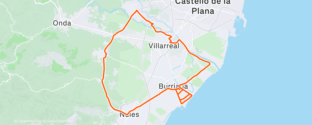 Карта физической активности (Hámster Day)