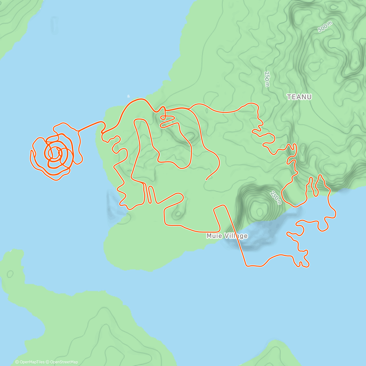 Map of the activity, #S6# HT SL