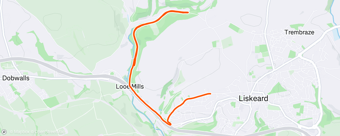 Map of the activity, Morning Run