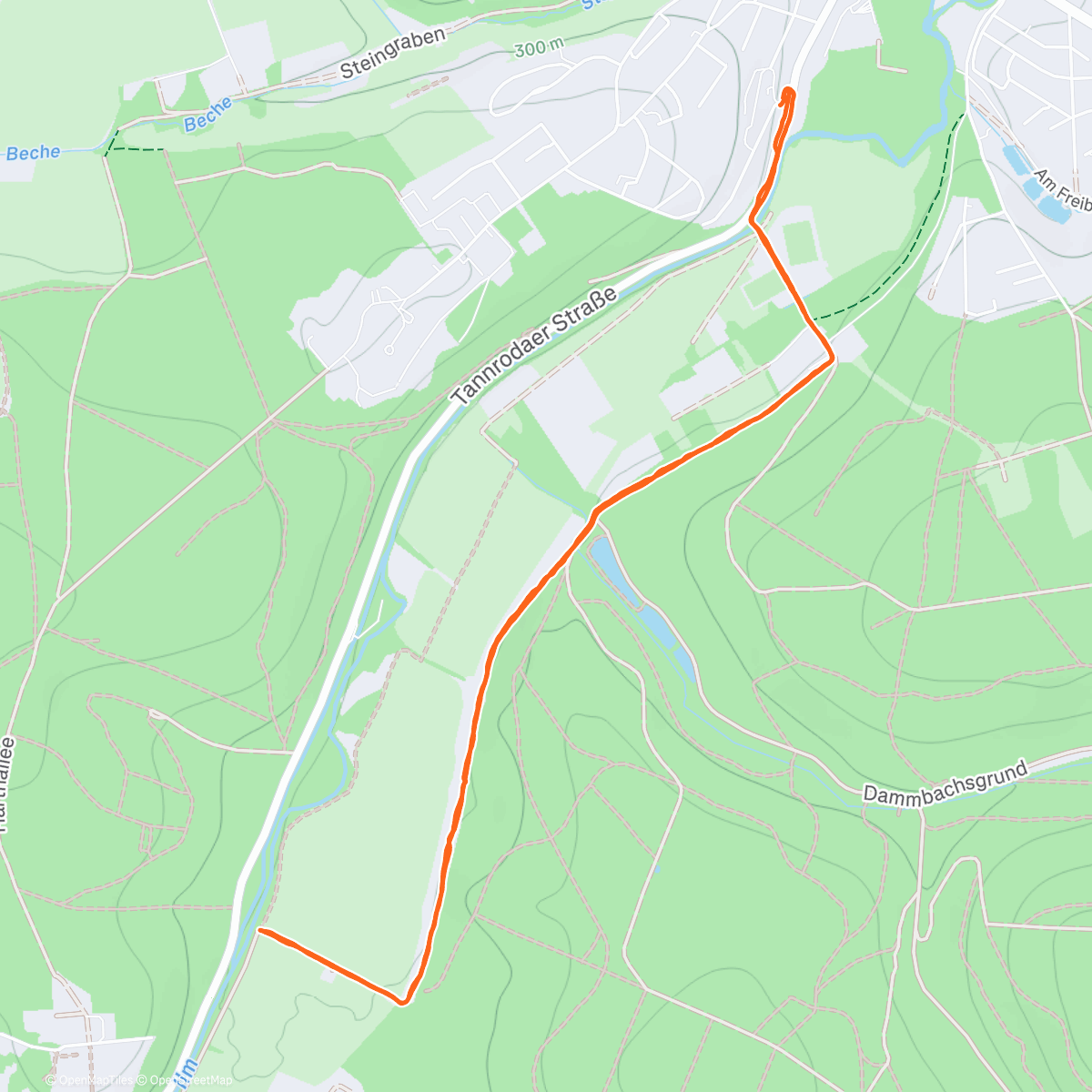 Карта физической активности (Mittagspaziergang)