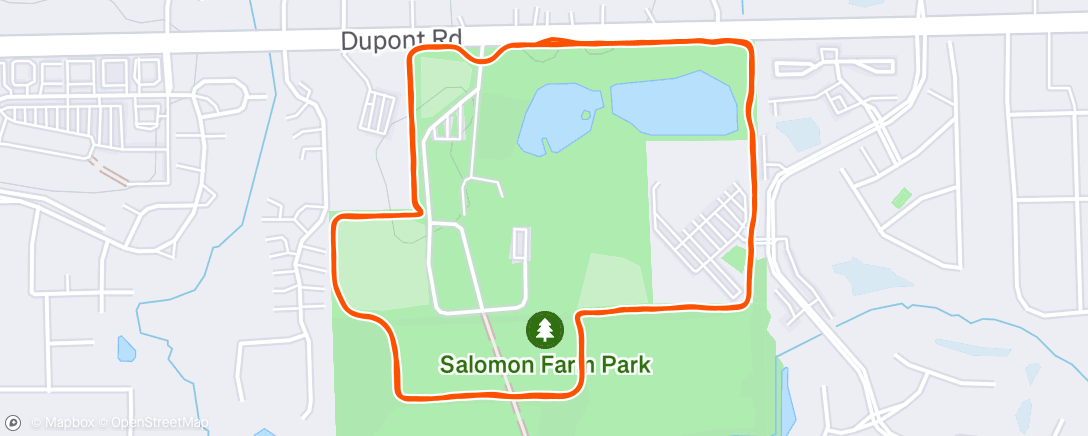 Map of the activity, Night Run