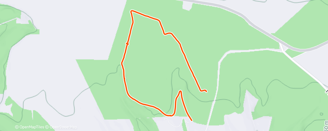 Карта физической активности (Afternoon Walk)