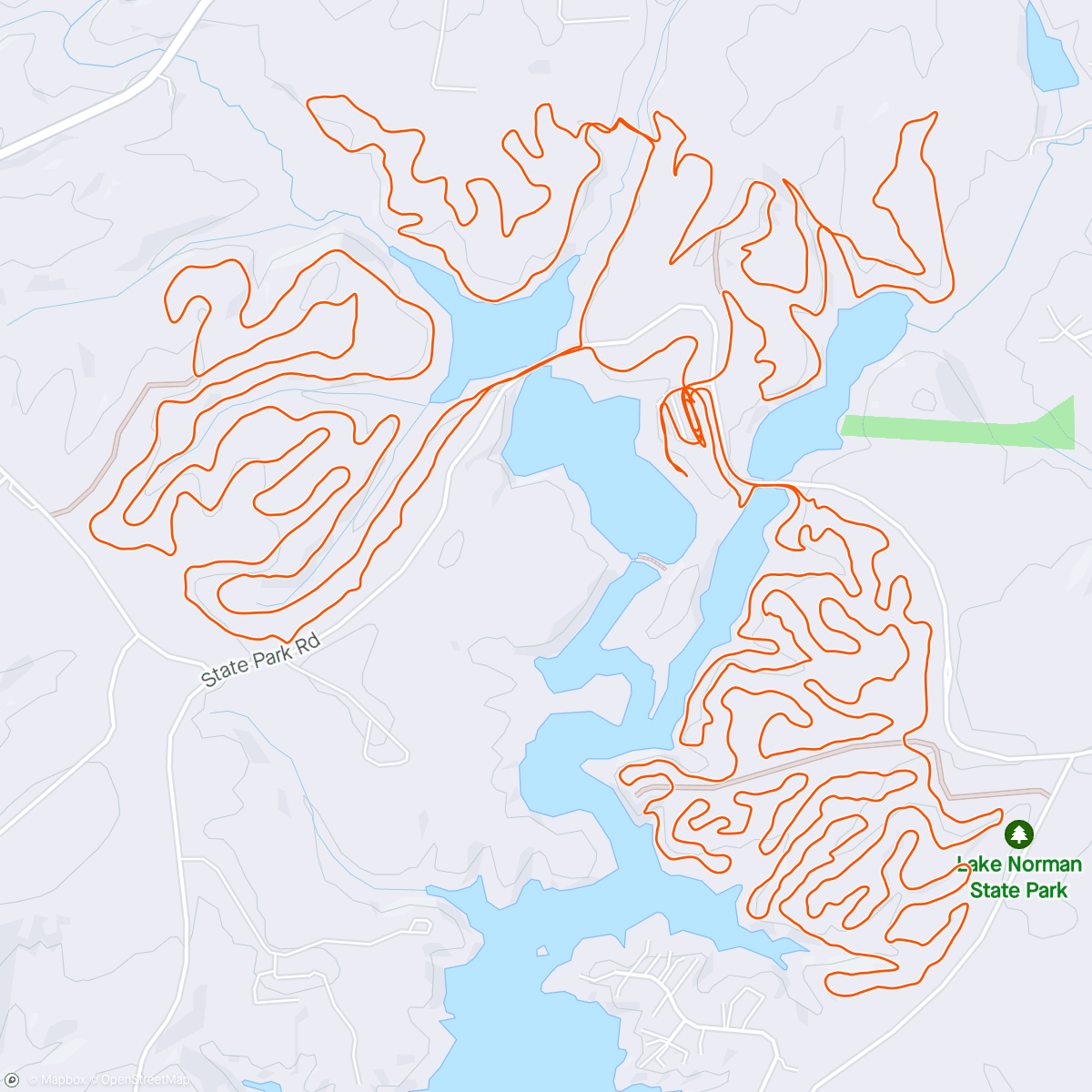 Карта физической активности (Chasing Ricky the Racoon Mountain Bike Ride 🚵‍♀️ 🦝)