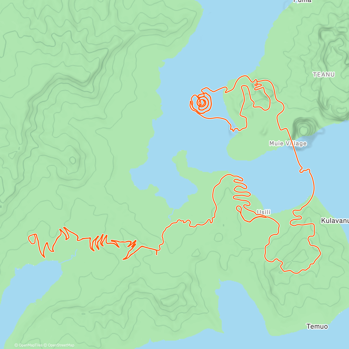Map of the activity, Zwift - Four Horsemen in Watopia