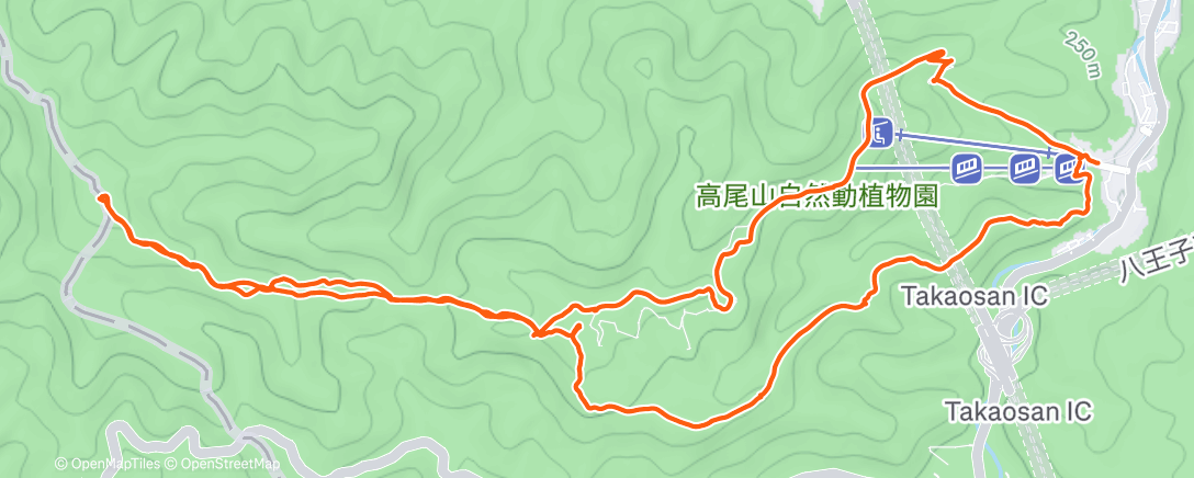 Map of the activity, Morning Trail Run